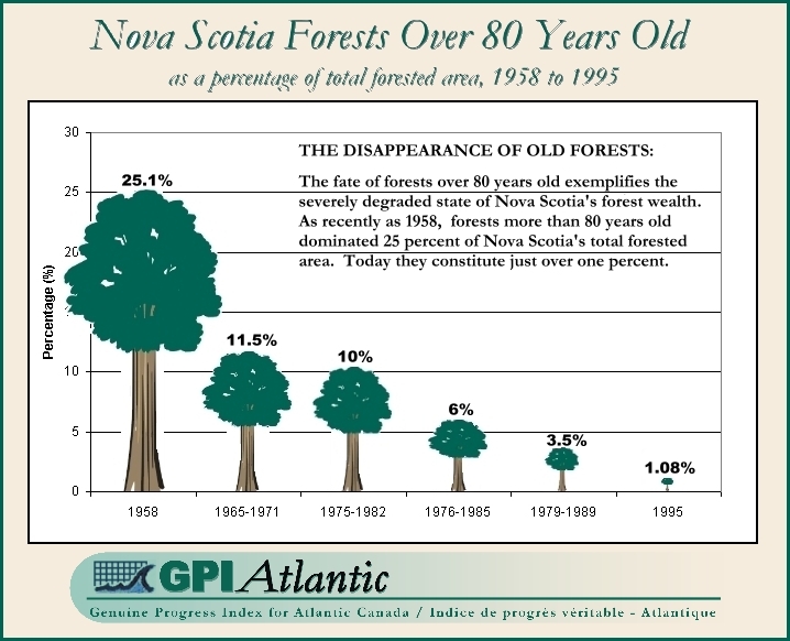 Nova Scotia Forests Over 80 Years Old